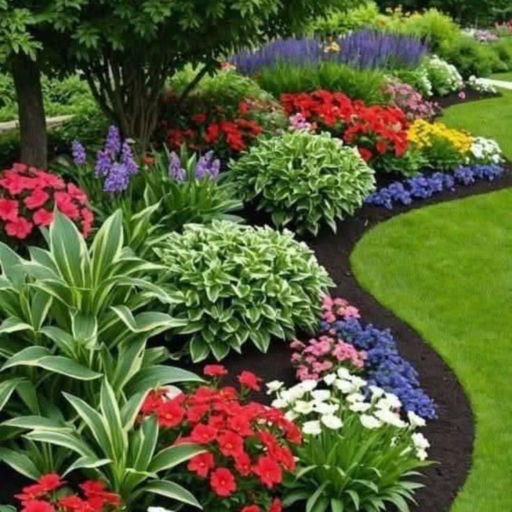 Shade-Loving Flowers